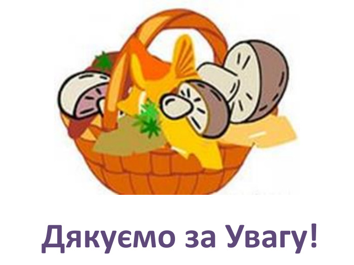 Дякуємо за Увагу!
