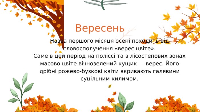 Вересень. Назва першого місяця осені походить від словосполучення «верес цвіте». Саме в цей період на поліссі та в лісостепових зонах масово цвіте вічнозелений кущик — верес. Його дрібні рожево-бузкові квіти вкривають галявини суцільним килимом.