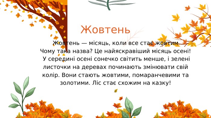 Жовтень. Жовтень — місяць, коли все стає жовтим. Чому така назва? Це найяскравіший місяць осені! У середині осені сонечко світить менше, і зелені листочки на деревах починають змінювати свій колір. Вони стають жовтими, помаранчевими та золотими. Ліс стає схожим на казку!