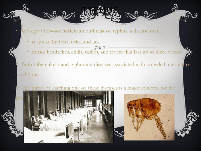 TYPHUS  Jane Eyre’s Lowood suffers an outbreak of typhus, a disease that  is spread by fleas, ticks, and lice causes headaches, chills, rashes, and fevers that last up to three weeks Both tuberculosis and typhus are diseases associated with crowded, unsanitary conditions. The threat of catching one of these diseases is a major concern for the characters in Jane Eyre.   