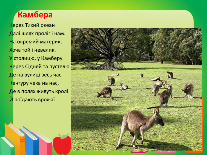 Камбера. Через Тихий океан. Далі шлях проліг і нам. На окремий материк,Хоча той і невелик. У столицю, у Камберу. Через Сідней та пустелю. Де на вулиці весь час. Кенгуру чека на нас,Де в полях живуть кроліЙ поїдають врожаї.