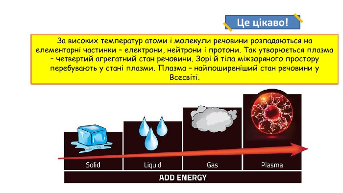 Секс шоп в Донецке. Магазин интимных товаров 