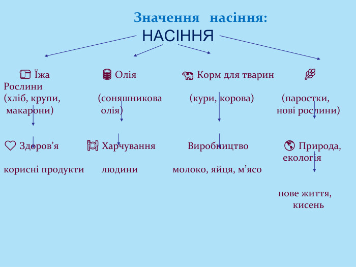 НАСІННЯ 🍞 Їжа 🛢 Олія 🐄 Корм для тварин 🌿 Рослини(хліб, крупи, (соняшникова (кури, корова) (паростки, макарони) олія) нові рослини)❤️ Здоров’я 🍽 Харчування Виробництво 🌎 Природа, екологіякорисні продукти людини молоко, яйця, м’ясо нове життя, кисень. Значення насіння: