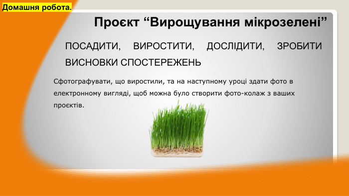 ПОСАДИТИ, ВИРОСТИТИ, ДОСЛІДИТИ, ЗРОБИТИ ВИСНОВКИ СПОСТЕРЕЖЕНЬДомашня робота.	Проєкт “Вирощування мікрозелені”Сфотографувати, що виростили, та на наступному уроці здати фото в електронному вигляді, щоб можна було створити фото-колаж з ваших проєктів.