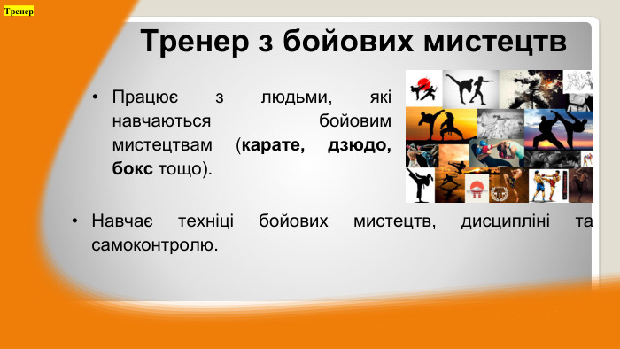 Працює з людьми, які навчаються бойовим мистецтвам (карате, дзюдо, бокс тощо). Тренер з бойових мистецтв. Навчає техніці бойових мистецтв, дисципліні та самоконтролю. Тренер