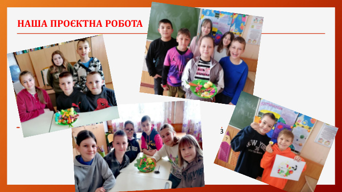 НАША ПРОЄКТНА РОБОТА23