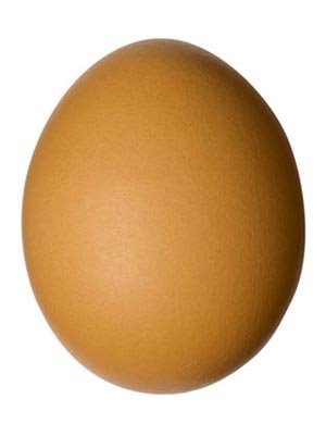 Картинки по запросу Яйце картинка
