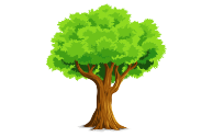 tree-1716991_1280.png