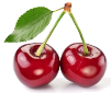 depositphotos_6870353-stock-photo-two-perfect-sweet-cherries-with.jpg