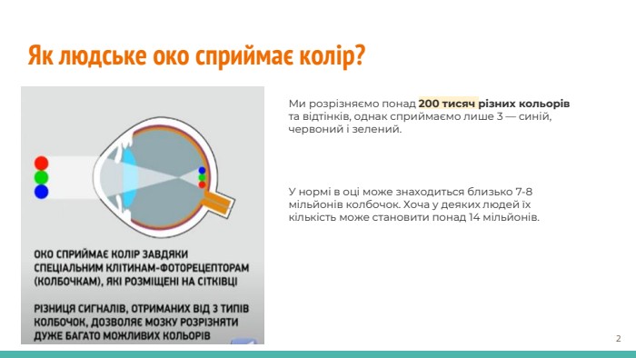 Як людське око сприймає колір?У нормі в оці може знаходиться близько 7-8 мільйонів колбочок. Хоча у деяких людей їх кількість може становити понад 14 мільйонів. Ми розрізняємо понад 200 тисяч різних кольорів та відтінків, однак сприймаємо лише 3 — синій, червоний і зелений.‹#›