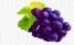 C:\Users\Comp 1\Desktop\kisspng-kyoho-shine-muscat-grape-huxian-speciality-u6237u5-purple-grape-material-5a9ec291022a19.1997141615203539370089.jpg