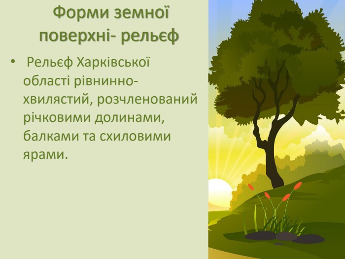  Форми земної поверхні- рельєф Рельєф Харківської області рівнинно-хвилястий, розчленований річковими долинами, балками та схиловими ярами.
