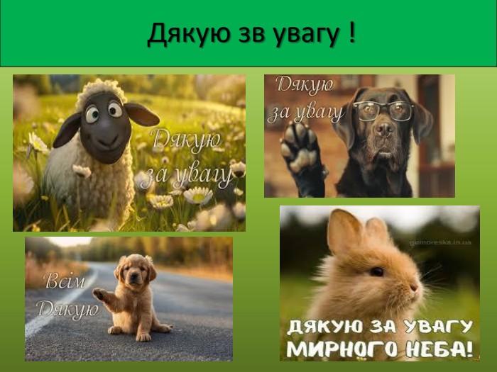  Дякую зв увагу !