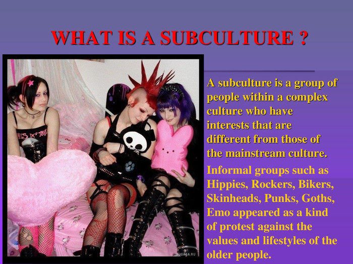 WHAT IS A SUBCULTURE ?A subculture is a group of people within a complex culture who have interests that are different from those of the mainstream culture. Informal groups such as Hippies, Rockers, Bikers, Skinheads, Punks, Goths, Emo appeared as a kind of protest against the values and lifestyles of the older people.