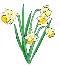 Картинки по запросу clipart  crocuses, daffodils
