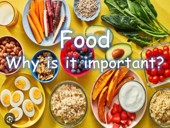 Food. Why is it important?