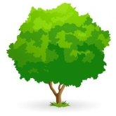 depositphotos_2017162-stock-illustration-green-tree.jpg