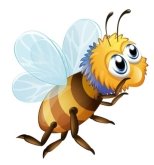 Пчёлы, осы, мёд — Yandex.Disk