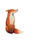 Красивые рисунки простым карандашом - срисовки, картинки 11 | Fox nursery  art, Watercolor fox, Fox illustration