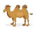 Картинки по запросу верблюд малюнок