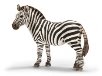 Картинки по запросу малюнок зебра