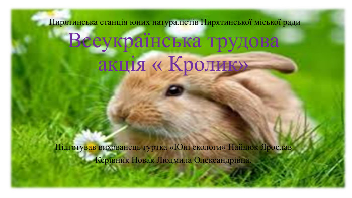 Всеукраїнська трудова акція « Кролик» Підготував вихованець гуртка «Юні екологи» Найдюк Ярослав Керівник Новак Людмила Олександрівна. Пирятинська станція юних натуралістів Пирятинської міської ради 
