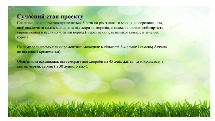 Сучасний стан проекту Спарювання кролематок проводиться 3 рази на рік з лютого місяця до середини літа, щоб виключити падіж молодняка від жари та морозів, а також з нижчою собівартістю вирощування в весняно – літній період ( через наявність великої кількості зелених кормів  На зиму залишаємо тільки ремонтний молодняк в кількості 3-4 самок і самець( бажано не від однієї кролематки).  Обов’язкова вакцинація: від геморагічної хвороби на 45 день життя, та міксоматозу в квітні, червні, серпні ( з 30 денного віку).    