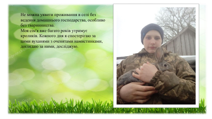 Не можна уявити проживання в селі без ведення домашнього господарства, особливо без тваринництва. Моя сім'я вже багато років утримує кроликів. Кожного дня я спостерігаю за цими вуханями з оченятами намистинками, доглядаю за ними, досліджую.  