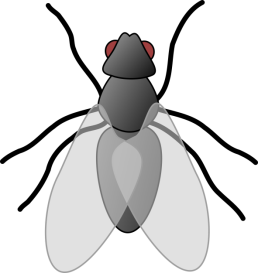 https://openclipart.org/image/2400px/svg_to_png/119407/fly-01.png
