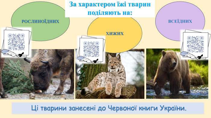 Підручник с.86 Живлення рослини непентес: