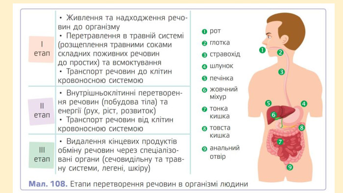 Паразити використовують інші організми і як місце існування, і як джерело живлення Серед ектопаразитів є багато кровосисних видів