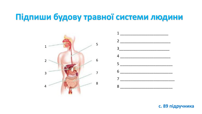 Фільтратори - споживають дрібні організми, проціджуючи воду