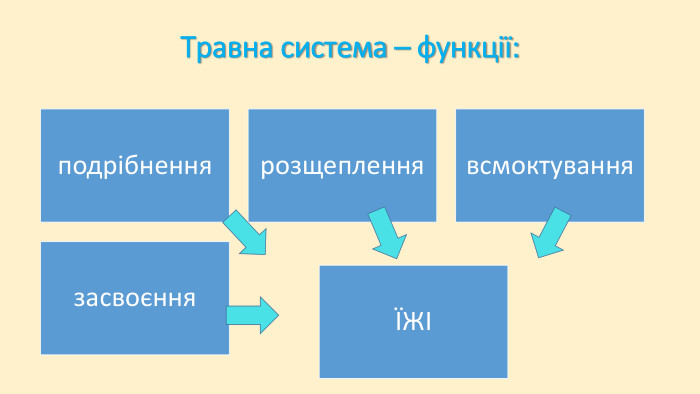 Особливості живлення тварин. Гетеротрофи – це організми, що живляться готовими органічними речовина-ми
