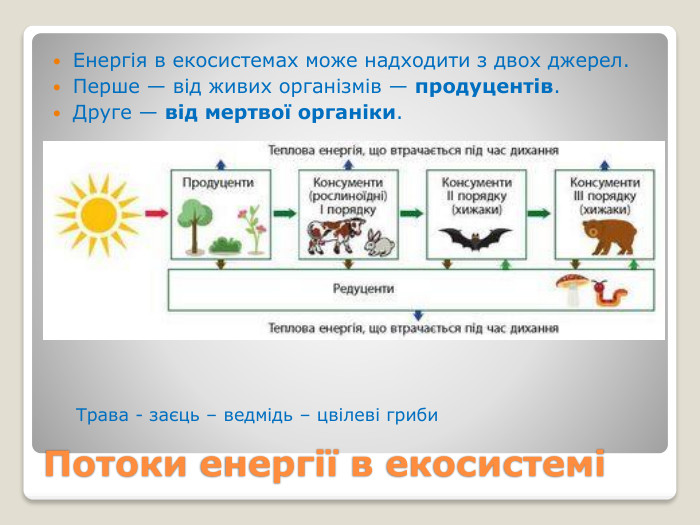 Потоки енергії в екосистеміЕнергія в екосистемах може надходити з двох джерел. Перше — від живих організмів — продуцентів. Друге — від мертвої органіки. Трава - заєць – ведмідь – цвілеві гриби