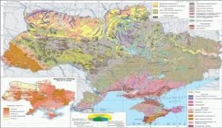 26. Ґрунти України | Фізична географія України, 8 клас