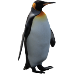 http://pngimg.com/upload/pinguin_PNG2.png