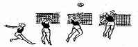 Просмотр: Методика обучения технике волейбола - Методические рекомендации  (И.И. Кванская) - Глава: Техника волейбола онлайн
