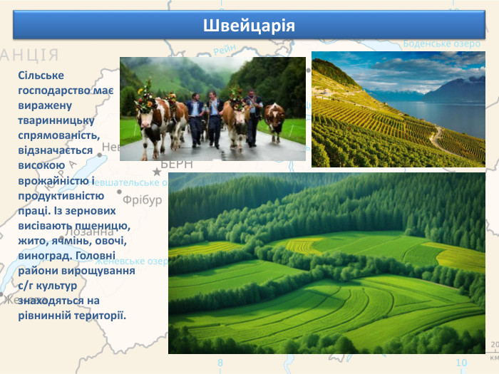 Швейцарія. Сільське господарство має виражену тваринницьку спрямованість, відзначається високою врожайністю і продуктивністю праці. Із зернових висівають пшеницю, жито, ячмінь, овочі, виноград. Головні райони вирощування с/г культур знаходяться на рівнинній території.