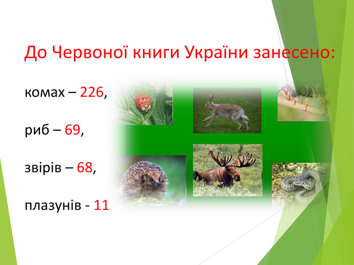 До Червоної книги України занесено:комах – 226,риб – 69,звірів – 68,плазунів - 11