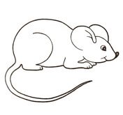 Картинки по запросу картинки для раскрашивания  мышь