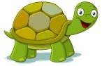 Картинки по запросу картинки животных для детей черепаха