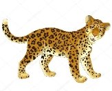 Картинки по запросу картинки животных для детей леопард