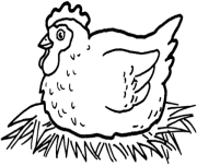 Картинки по запросу картинки для раскрашивания курица