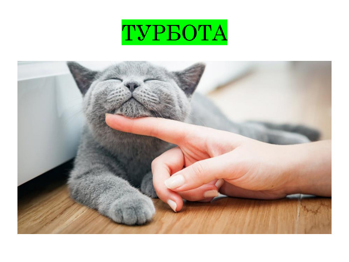 ТУРБОТА