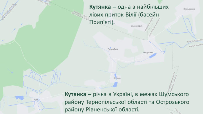 Кутянка – одна з найбільших лівих приток Вілії (басейн Прип’яті). Кутянка – річка в Україні, в межах Шумського району Тернопільської області та Острозького району Рівненської області.