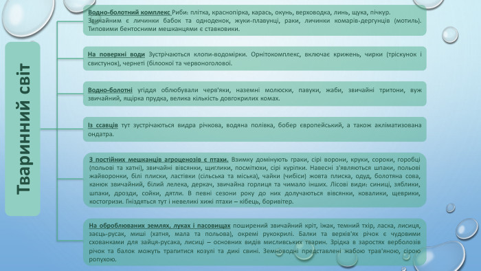 Тваринний світ. Водно-болотний комплекс Риби: плітка, краснопірка, карась, окунь, верховодка, линь, щука, пічкур. Звичайним є личинки бабок та одноденок, жуки-плавунці, раки, личинки комарів-дергунців (мотиль). Типовими бентосними мешканцями є ставковики. На поверхні води Зустрічаються клопи-водомірки. Орнітокомплекс, включає крижень, чирки (тріскунок і свистунок), чернеті (білоокої та червоноголової. Водно-болотні угіддя облюбували черв’яки, наземні молюски, павуки, жаби, звичайні тритони, вуж звичайний, ящірка прудка, велика кількість довгокрилих комах. Із ссавців тут зустрічаються видра річкова, водяна полівка, бобер європейський, а також акліматизована ондатра. З постійних мешканців агроценозів є птахи. Взимку домінують граки, сірі ворони, круки, сороки, горобці (польові та хатні), звичайні вівсянки, щиглики, посмітюхи, сірі куріпки. Навесні з’являються шпаки, польові жайворонки, білі плиски, ластівки (сільська та міська), чайки (чибіси) жовта плиска, одуд, болотяна сова, канюк звичайний, білий лелека, деркач, звичайна горлиця та чимало інших. Лісові види: синиці, зяблики, шпаки, дрозди, сойки, дятли. В певні сезони року до них долучаються вівсянки, ковалики, щеврики, костогризи. Гніздяться тут і невеликі хижі птахи – кібець, боривітер. На оброблюваних землях, луках і пасовищах поширений звичайний кріт, їжак, темний тхір, ласка, лисиця, заєць-русак, миші (хатня, мала та польова), окремі рукокрилі. Балки та верхів’ях річок є чудовими схованками для зайця-русака, лисиці – основних видів мисливських тварин. Зрідка в заростях верболозів річок та балок можуть трапитися козулі та дикі свині. Земноводні представлені жабою трав’яною, сірою ропухою.
