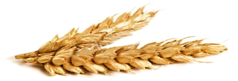 Чим мелять зерно