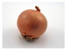 http://www.study-languages-online.com/images/list/vegetables/onion.jpg