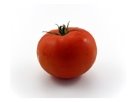 http://www.study-languages-online.com/images/list/vegetables/tomato.jpg