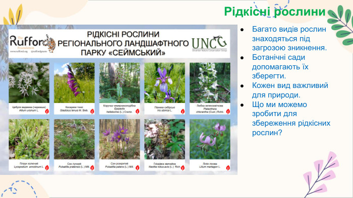 Рідкісні рослини. Багато видів рослин знаходяться під загрозою зникнення. Ботанічні сади допомагають їх зберегти. Кожен вид важливий для природи. Що ми можемо зробити для збереження рідкісних рослин?